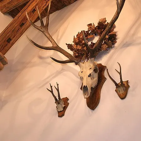 Karczma Zagloba Inn Swidnica (Lower Silesia)
