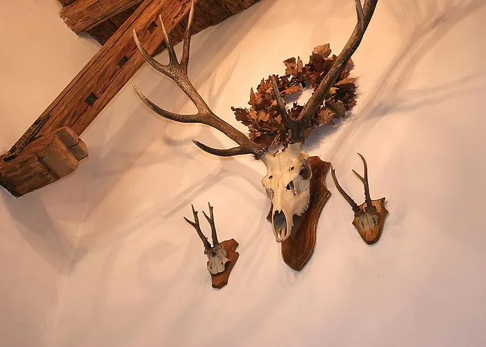 Karczma Zagloba Kro Świdnica